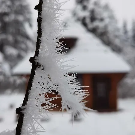 Zlatiborske Brvnare * Zlatibor