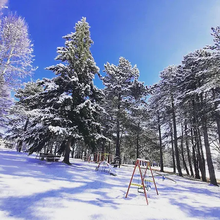 Σαλέ Zlatiborske Brvnare Ζλάτιμπορ
