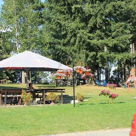 Σαλέ Zlatiborske Brvnare